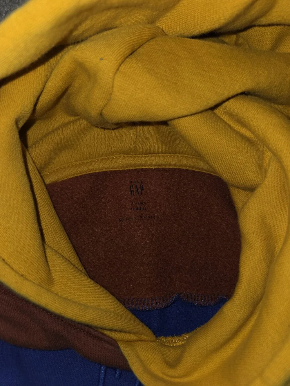 GAP Hooded Sweatshirt